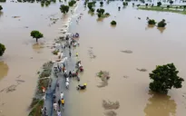 Lũ lụt khiến hơn 600 người thiệt mạng tại Nigeria