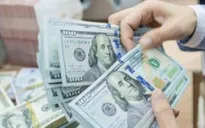 IMF: Điều chỉnh biên độ tỷ giá giao ngay thể hiện sự linh hoạt trong điều hành