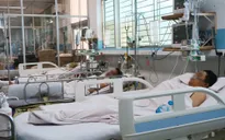 Bệnh nhân sốt xuất huyết nặng tiếp tục gia tăng, TP. Hồ Chí Minh phân tuyến điều trị