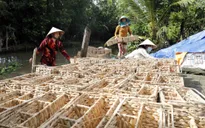 Cả nước chung tay vì người nghèo - Hành trình của sự sẻ chia và tự lực vươn lên