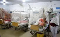 Số ca sốt xuất huyết tăng cao tại Pakistan
