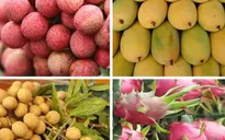 Làm gì để tăng hiệu quả xuất khẩu trái cây Việt?