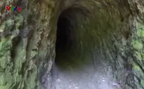 Khai thác vàng trái phép trên đất rừng