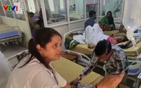 Dịch sốt xuất huyết gia tăng tại Ấn Độ do mùa mưa kéo dài
