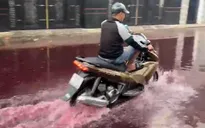 TP Hồ Chí Minh: Tìm nguyên nhân màu nước lạ bất thường sau mưa lớn