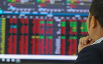 Chứng khoán bị bán tháo, VN-Index thủng mốc 1.000 điểm
