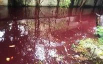 Nước ngập màu đỏ ở TP Hồ Chí Minh: Chưa tìm ra nguyên nhân