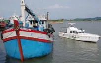 Bà Rịa - Vũng Tàu: Bắt giữ tàu cá vận chuyển 110 nghìn lít dầu DO lậu trên biển