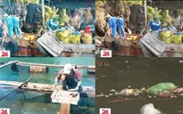 Giải pháp nào để giảm ô nhiễm tại các làng chài?