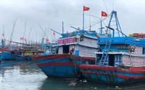 Chung tay tháo gỡ "thẻ vàng" cho ngành thủy sản Việt Nam