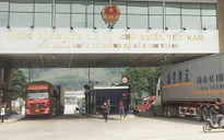 Gần 70 tấn sầu riêng xuất khẩu chính ngạch sang Trung Quốc qua cửa khẩu Lào Cai