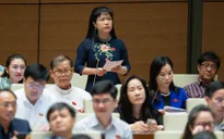 Đại biểu Quốc hội: Cần làm rõ xăng dầu "thiếu thật" hay "thiếu giả"