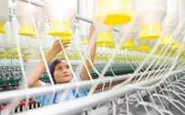 IMF: Việt Nam là một nền kinh tế năng động