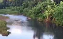 Quảng Nam: Người dân kêu cứu vì sông, suối bị ô nhiễm do khai thác vàng