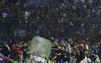 Indonesia lập nhóm điều tra độc lập vụ thảm kịch sân cỏ