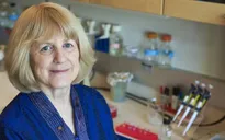 Nobel 2022: Các ứng cử viên sáng giá cho giải Nobel Y Sinh