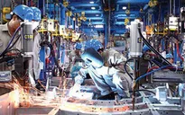 Việt Nam là điểm sáng về tăng trưởng kinh tế