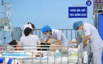 Không chủ quan với sốt xuất huyết ở người lớn