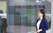 Cơ hội hiếm có dành cho nhà đầu tư dài hạn