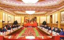 Tổng Bí thư Nguyễn Phú Trọng hội đàm với Tổng Bí thư, Chủ tịch Trung Quốc Tập Cận Bình