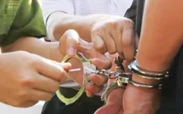Bắt thêm 3 đối tượng liên quan tới vụ ‘chuyến bay giải cứu'