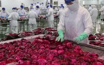 9 tháng, ngành nông nghiệp xuất siêu tăng gấp đôi năm ngoái