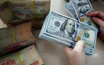 Doanh nghiệp xoay xở với biến động tỷ giá