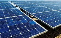 Chính phủ chỉ đạo xử lý dứt điểm các vướng mắc tại Nhà máy điện mặt trời Trung Nam Thuận Nam