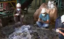 Indonesia tạo ra khoảng 7,8 triệu tấn rác thải nhựa mỗi năm