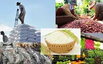 Các thị trường lớn chào đón nông sản Việt