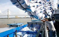 Gạo Việt khẳng định thương hiệu trên thị trường quốc tế