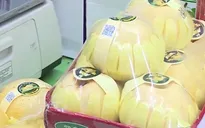 Vạch trần thủ đoạn gian dối xuất xứ lê Hàn Quốc