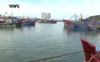 Nỗ lực khai thác chống IUU