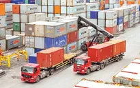 Tỷ giá biến động, doanh nghiệp xuất nhập khẩu cần làm gì để ứng phó?