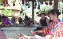 Khởi động Festival hoa Đà Lạt