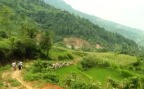 Lan tỏa phong trào hiến đất mở đường: Hi sinh cái riêng vì cái chung