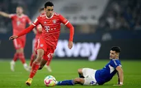 Bayern Munich giành chiến thắng dễ dàng trước Schalke 04