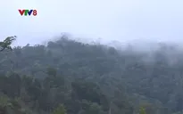 Những người giữ rừng ở khu bảo tồn Sao la Thừa Thiên Huế