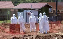 Căng thẳng trong tâm dịch Ebola ở châu Phi