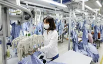 Doanh nghiệp xuất khẩu quay lại chinh phục “sân nhà”