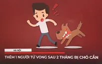 Hà Nội: Thêm 1 người tử vong sau 2 tháng bị chó cắn