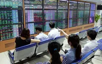 Nâng cao vai trò nhà đầu tư tổ chức tại Việt Nam