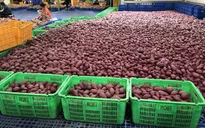 Triển vọng xuất khẩu nông sản Việt Nam - Trung Quốc