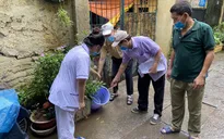 Hà Nội tăng cường các biện pháp phòng, chống dịch sốt xuất huyết