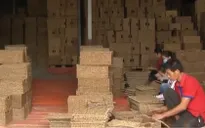Doanh nghiệp chủ động trước thách thức xuất khẩu