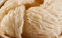 Cơ hội rộng mở cho xuất khẩu tổ yến của Việt Nam