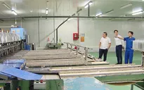 Ngân hàng đẩy nhanh quá trình xử lý nợ xấu