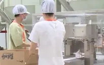 Tăng tốc chuẩn bị hàng hóa Tết