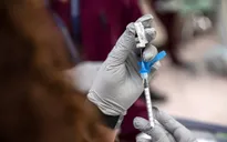 Vaccine COVID-19 cập nhật cung cấp khả năng bảo vệ tốt hơn so với vaccine ban đầu