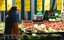 Hoạt động kinh doanh ở Eurozone giảm chậm lại trong tháng 11